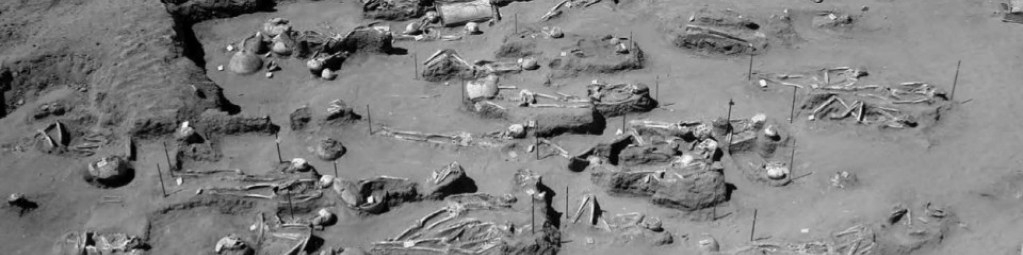 On an archaeological dig from home