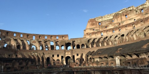 Skip the line Colosseum tour with arena floor, Forum and Palatine Hill