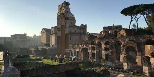 Skip the line Colosseum, Roman Forum and Palatine Hill